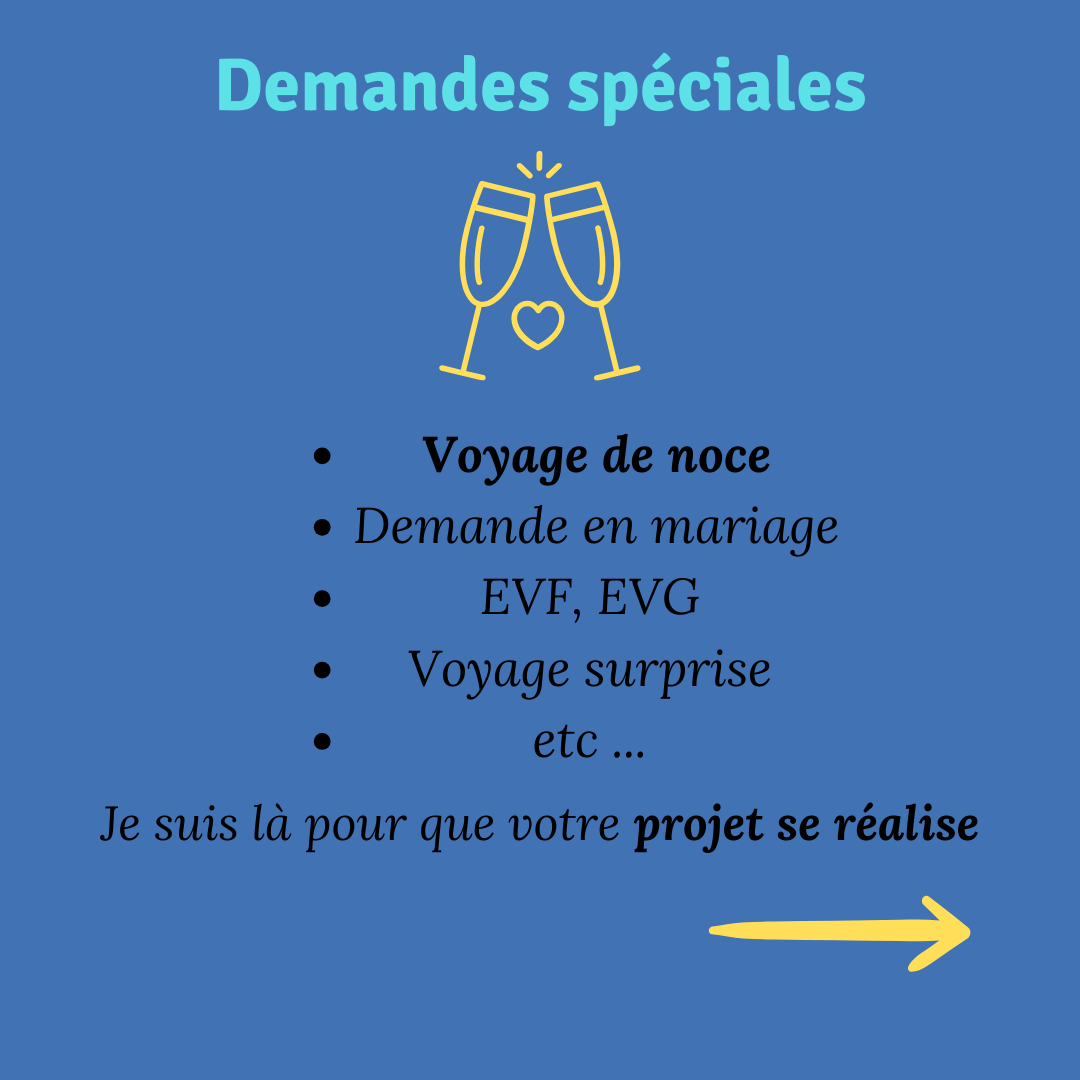 ALT" demandes spéciales : Voyage de noce sur mesure, Demande en mariage EVF, EVG Voyage surprise etc ... Je suis là pour que votre projet se réalise"