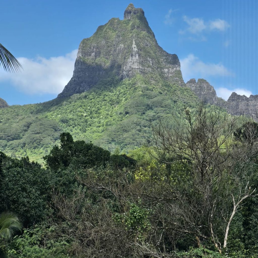moorea